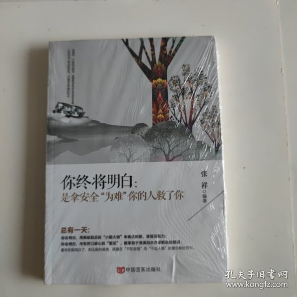 你终将明白：是拿安全为难你的人救了你