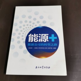 能源十能源公司的转型之路