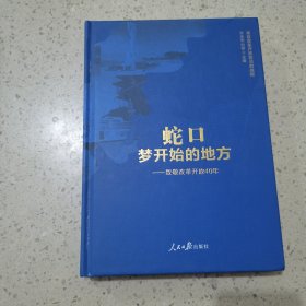 蛇口 梦开始的地方致敬改革开放40年