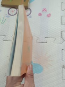 神鬼之祭~西南少数民族傅统宗教文化研究