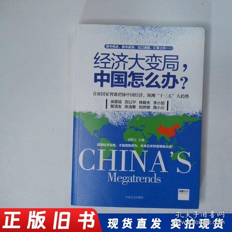 经济大变局 中国怎么办