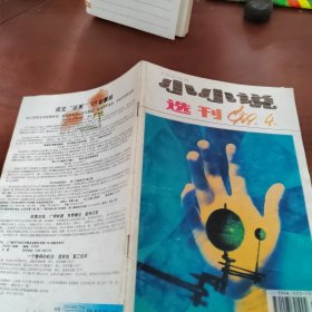 小小说选刊  1999  4