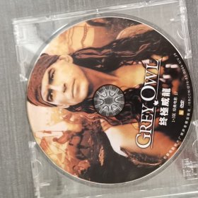 231光盘DVD：终极威龙 一张光盘盒装