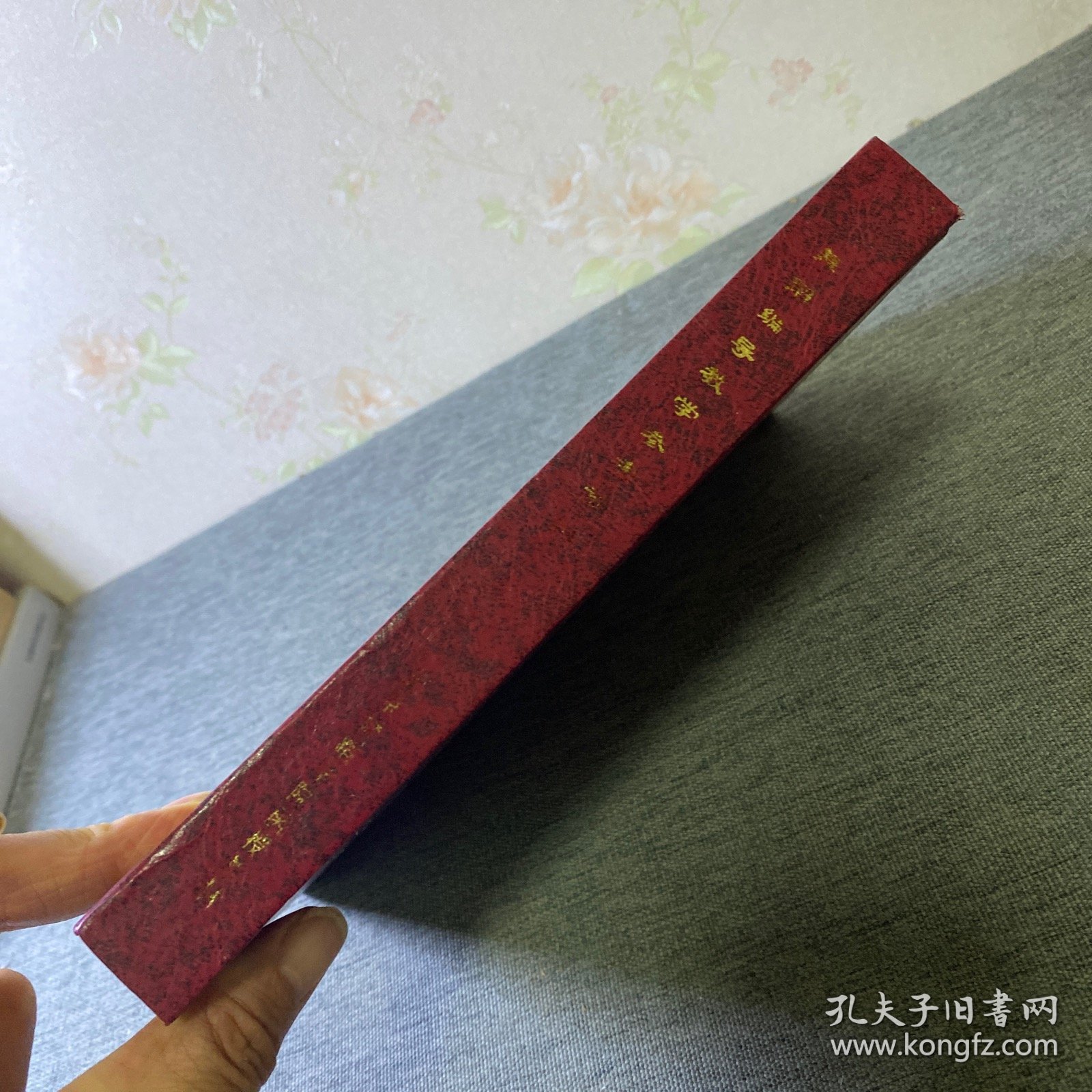 舞蹈编导教学参考资料