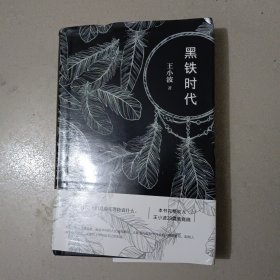 黑铁时代（精装本）