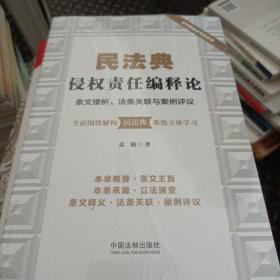 民法典侵权责任编释论：条文缕析、法条关联与案例评议