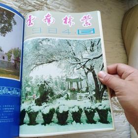 《云南林业》1984年第1-6期全年合订本【品如图。刊有王民、胡宝泰、曲仲湘、王子贤、崔忠贤、王传忠、普朝柱、刘树生、杨祖德、马正才、安平生、陆永德、张国仁、陈忠元、袁理清、白其高、毛彦柱、王仕超、任玮、陶正林照片】