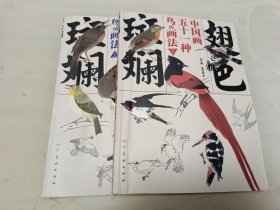 翅色斑斓：中国画五十一种鸟的画法（上下）