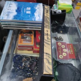 长月烬明 影视剧剧情艺术互动设定集