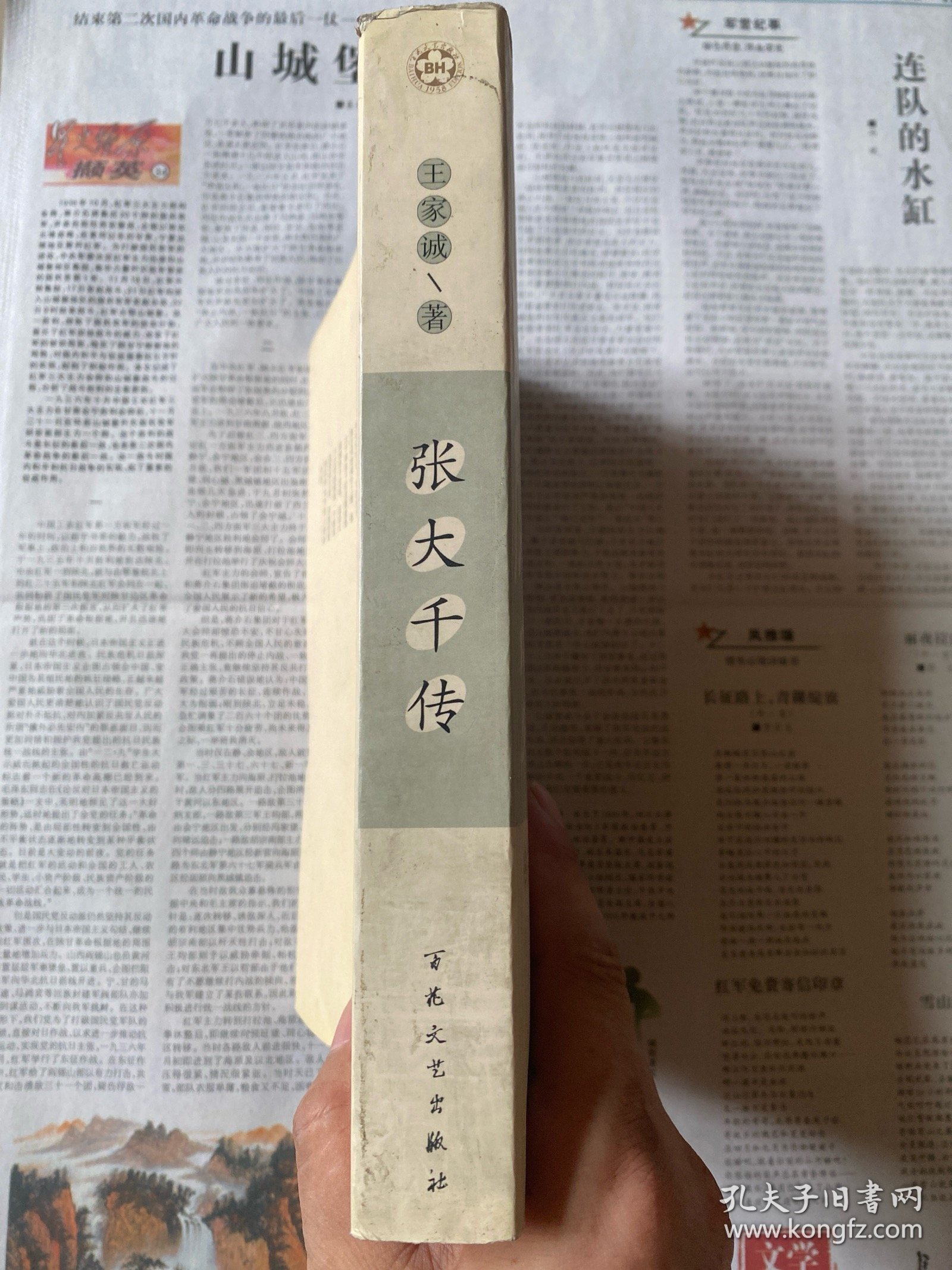 张大千传（王家诚传记精品系列）