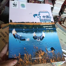 中国的国际重要湿地