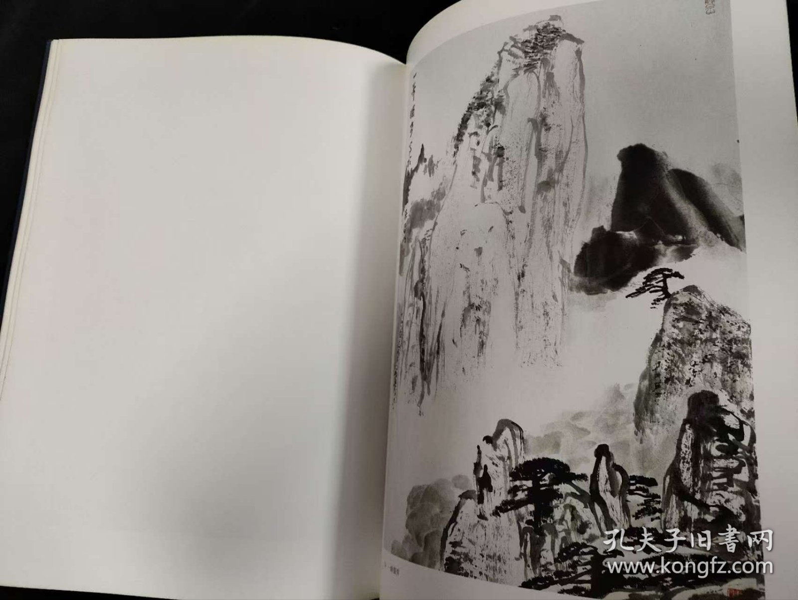 黄山集 亚明著作 精装