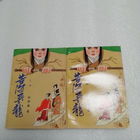 苦海飞龙上下册