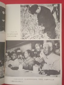 怀念刘少奇同志