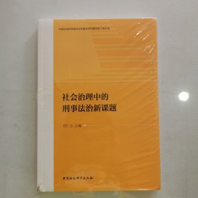 社会治理中的刑事法治新课题