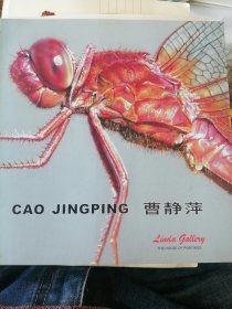 曹静萍画册