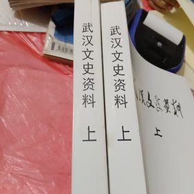 武汉文史资料（2019年上下)