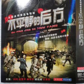 DVD 大型反特谍战电视剧：不平静的后方（2碟装）