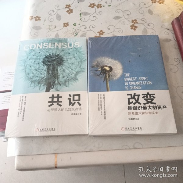 改变是组织最大的资产：新希望六和转型实务/共识与经理人的九封交流信