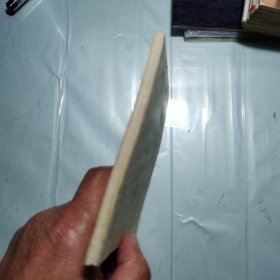 抓来的老师