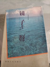 镜子(内页干净)