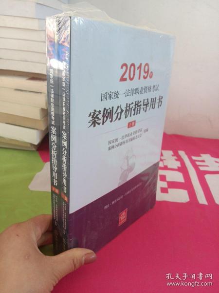 司法考试2019 2019年国家统一法律职业资格考试案例分析指导用书（全2册）