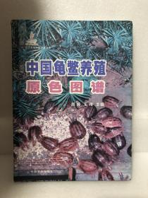 中国龟鳖养殖原色图谱（精装 大本）