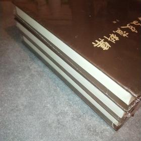 广南文史资料 上中下 未拆封*