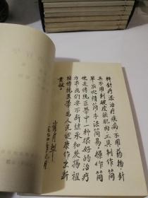 杵针治疗学