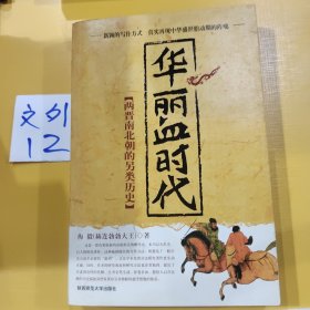 华丽血时代：两晋南北朝的另类历史