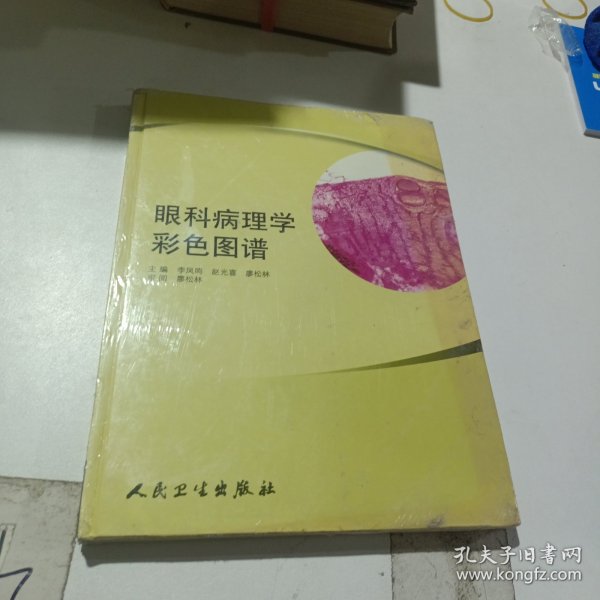 眼科病理学彩色图谱