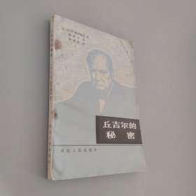 丘吉尔的秘密