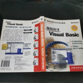 Visual Basic编程高手