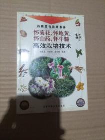 怀菊花、怀地黄高效栽培技术——新世纪富民工程丛书·药用植物栽培书系