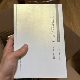 中国当代新诗史 新版