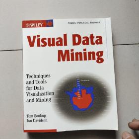 visual data mining :techniques and tools for data visualization and mining（大16开英文原版）