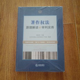 著作权法原理解读与审判实务