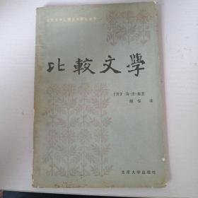 比较文学（北京大学比较文学研究丛书）