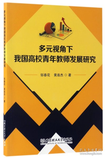 多元视角下我国高校青年教师发展研究