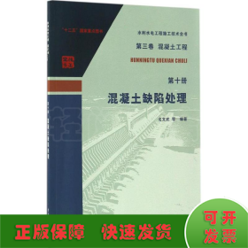 水利水电工程施工技术全书（第三卷）·（混凝土工程 第十册）：混凝土缺陷处理