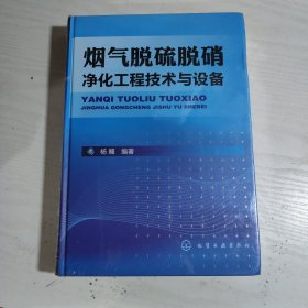 烟气脱硫脱硝净化工程技术与设备