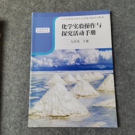 化学实验操作与探究活动手册 九年级 下册