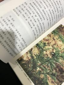 草木缘情：中国古典文学中的植物世界（第二版）