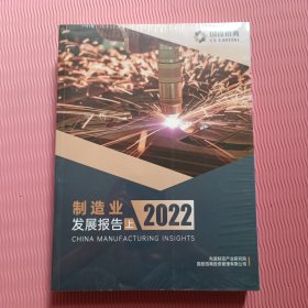 制造业发展报告 2022 上下