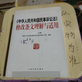 《中华人民共和国民事诉讼法》修改条文理解与适用