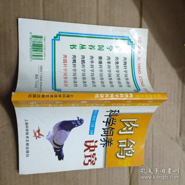 肉鸽科学饲养诀窍