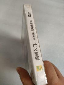 DVD国画入门，山水画花鸟画技法 主讲祖绍先  未开封