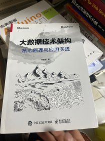 大数据技术架构：核心原理与应用实践(博文视点出品)