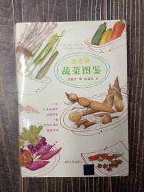 菜市场蔬菜图鉴