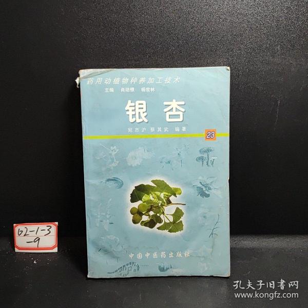 银杏——药用动植物种养加工技术（含CD-ROM一张）